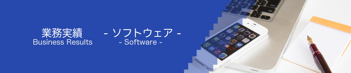 業務実績　Software